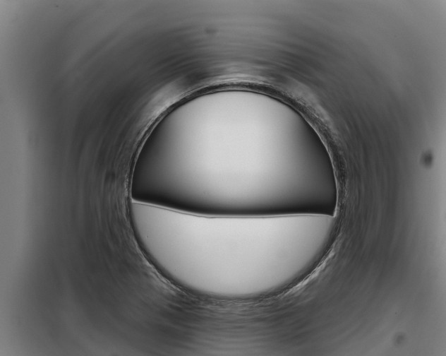X0000098081321200804040742