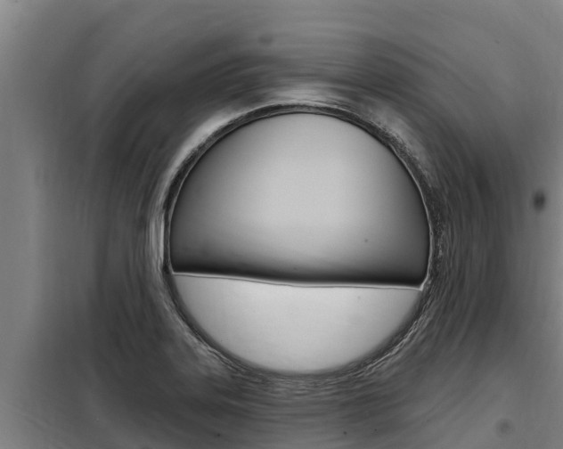 X0000098081323200804040742