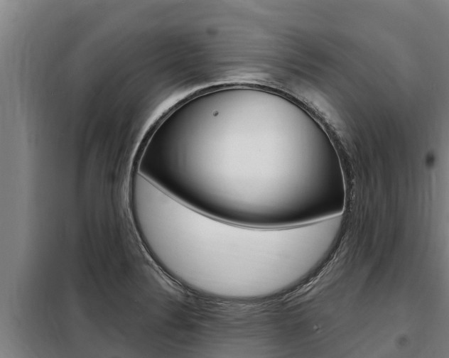 X0000098081324200804040742