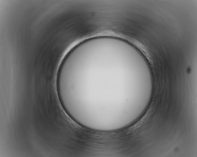 X0000098081326200804040742
