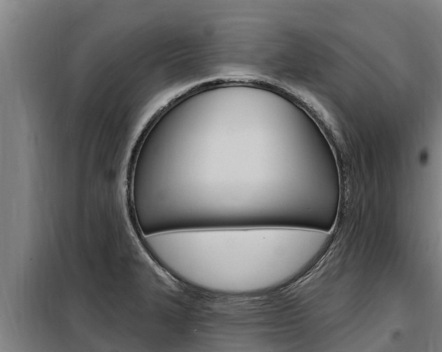 X0000098081327200804040742