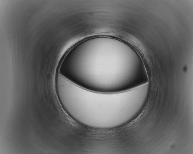 X0000098081328200804040742