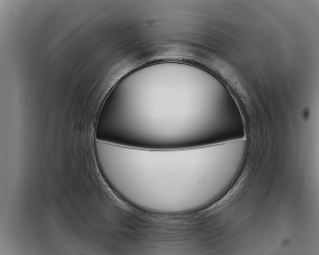 X0000098081329200804040742