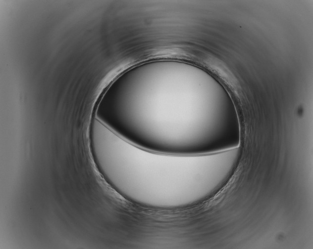X0000098081330200804040742