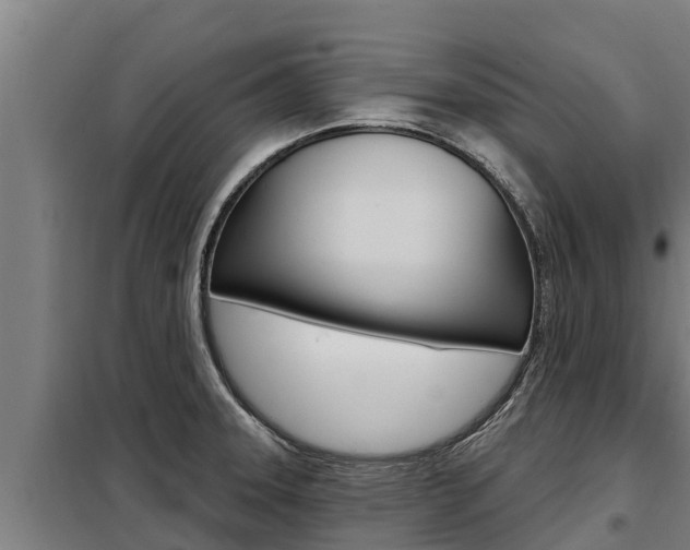 X0000098081331200804040742