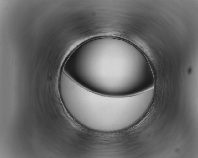 X0000098081332200804040742