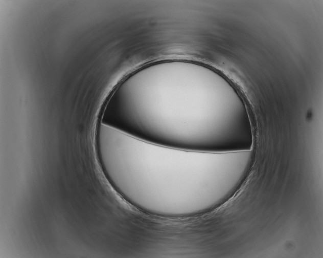 X0000098081333200804040742