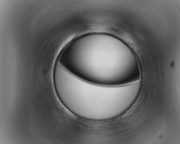 X0000098081334200804040742