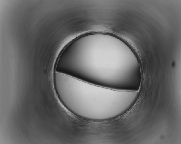 X0000098081335200804040742