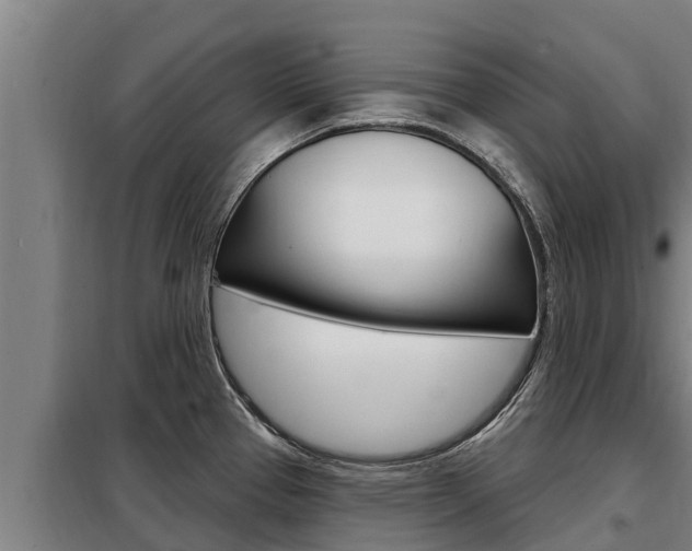 X0000098081337200804040742