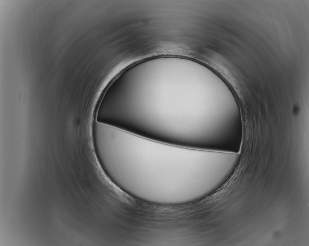 X0000098081339200804040742