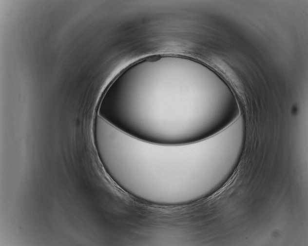 X0000098081340200804040742
