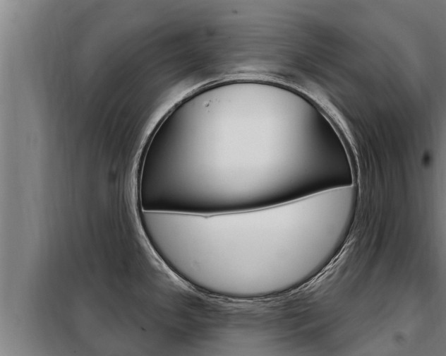 X0000098081341200804040742