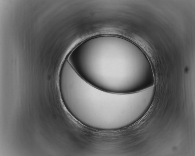 X0000098081342200804040742