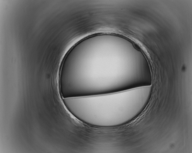 X0000098081343200804040742