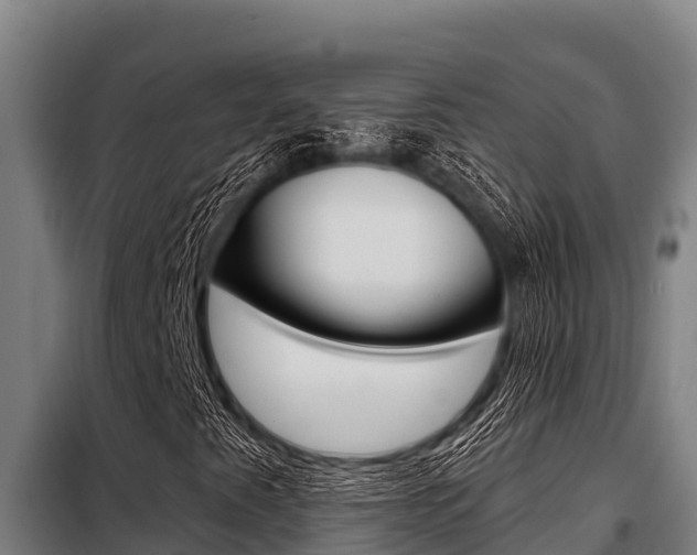 X0000098081345200804040742