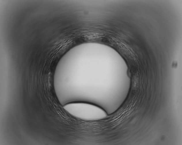 X0000098081346200804040742