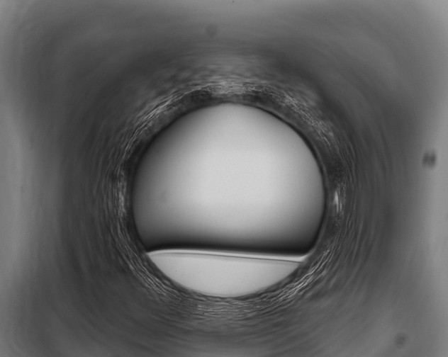 X0000098081348200804040742