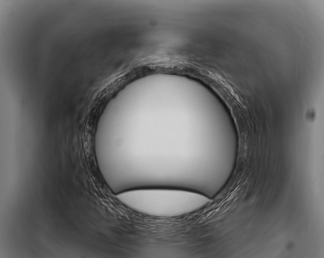 X0000098081350200804040742