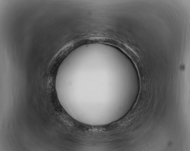 X0000098081351200804040742