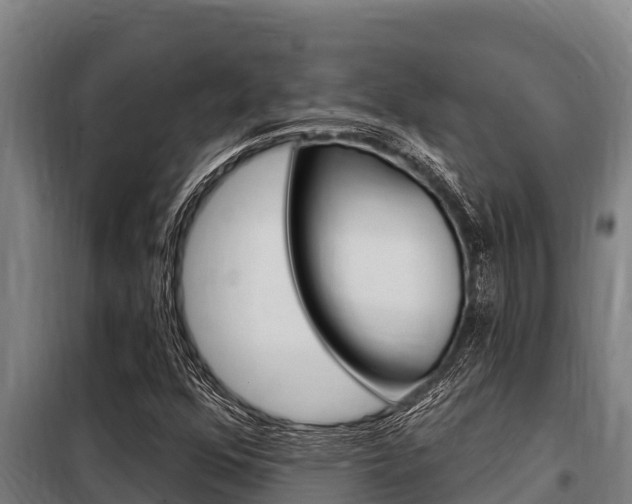 X0000098081352200804040742