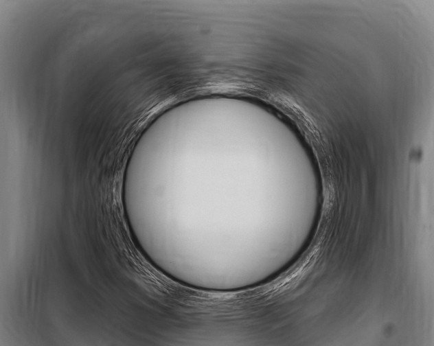 X0000098081353200804040742