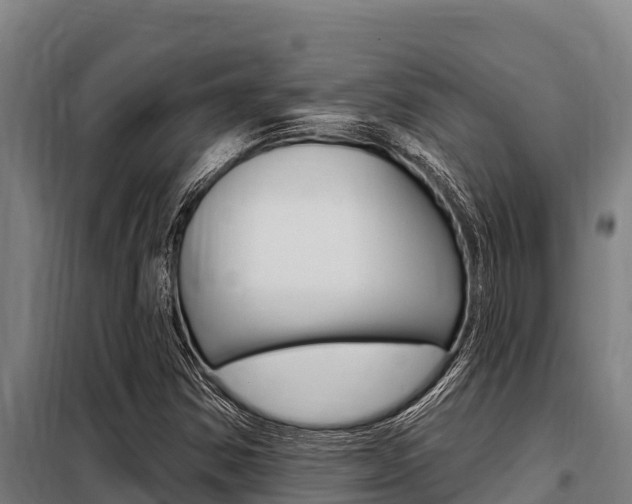 X0000098081354200804040742