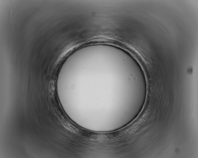 X0000098081355200804040742