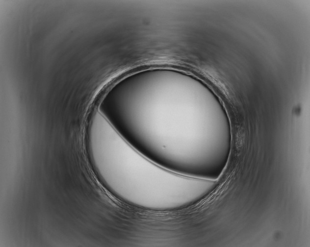 X0000098081356200804040742