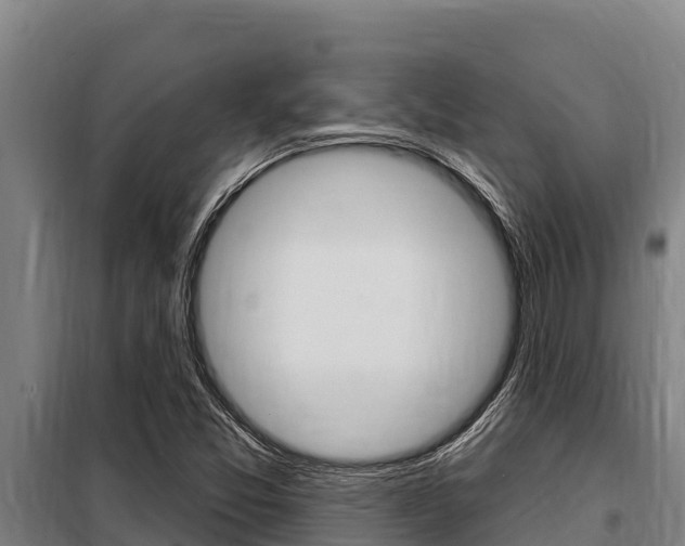 X0000098081357200804040742