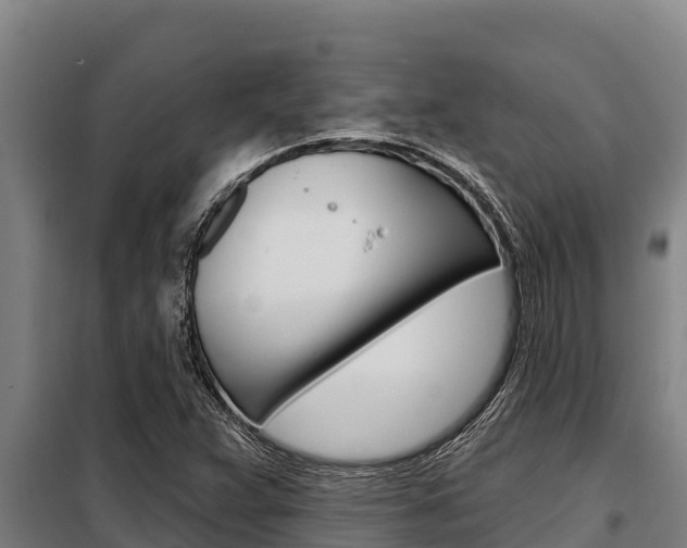 X0000098081359200804040742