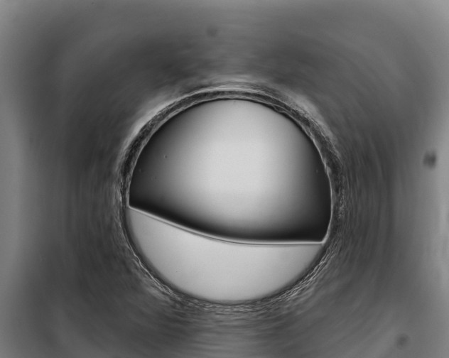 X0000098081360200804040742