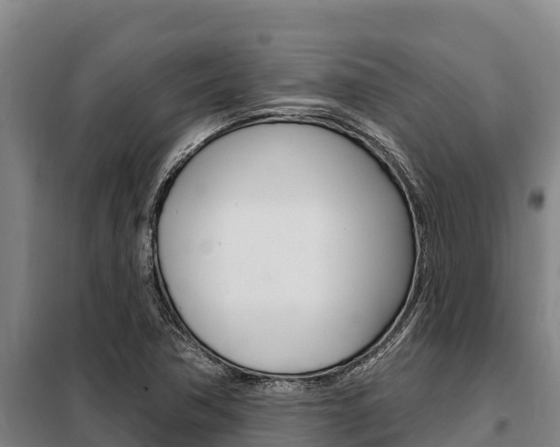 X0000098081362200804040742