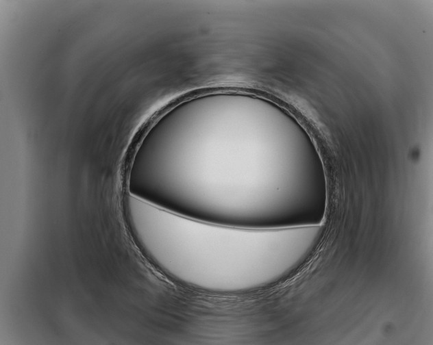 X0000098081364200804040742