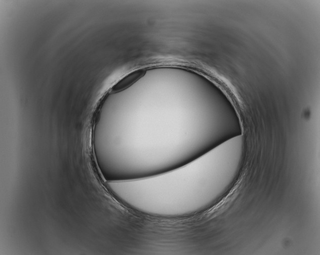 X0000098081365200804040742