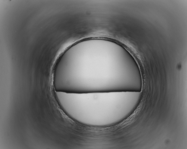 X0000098081366200804040741