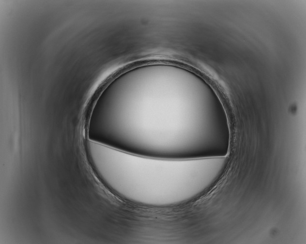 X0000098081368200804040741