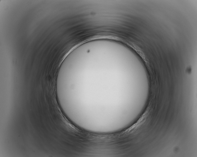 X0000098081369200804040741