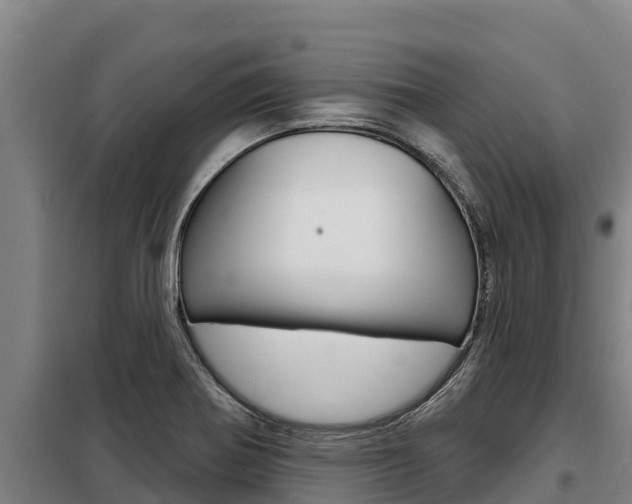 X0000098081370200804040741