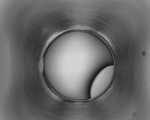 X0000098081371200804040741