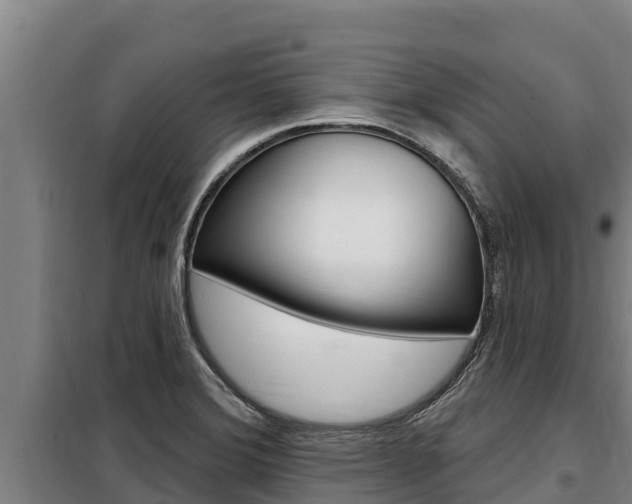 X0000098081372200804040741