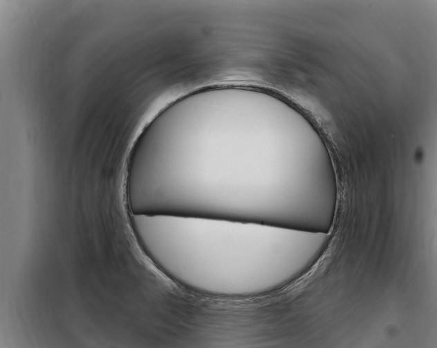 X0000098081374200804040741