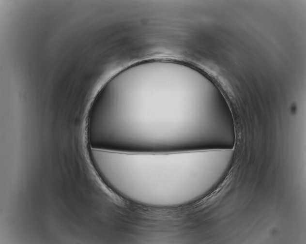 X0000098081375200804040741