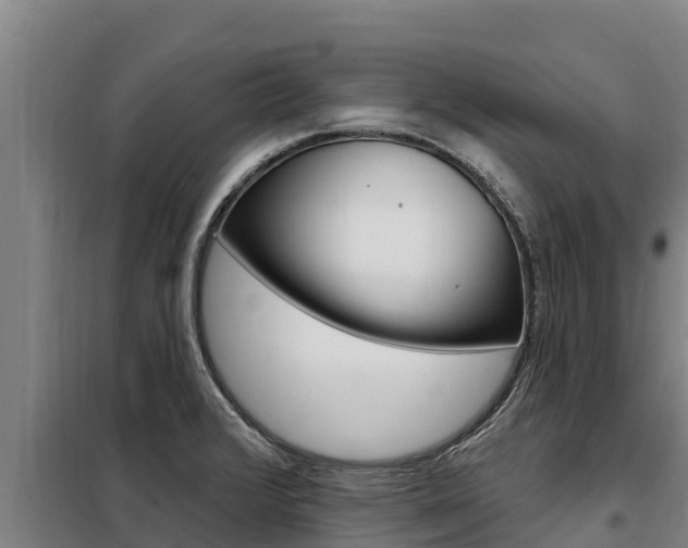 X0000098081376200804040741