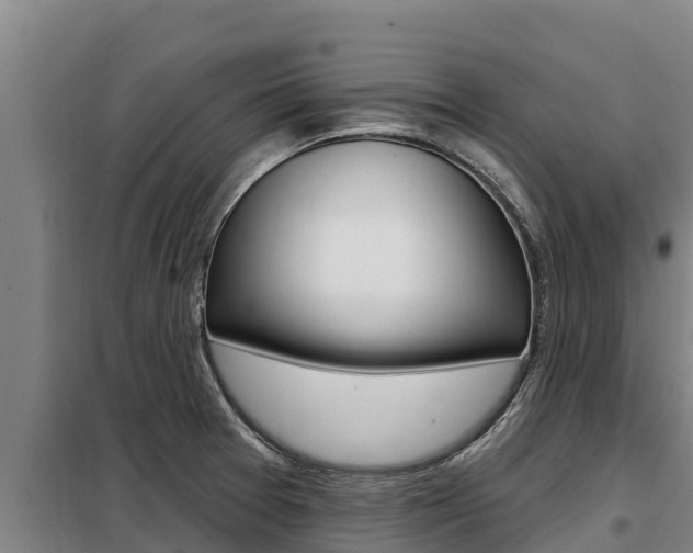 X0000098081377200804040741