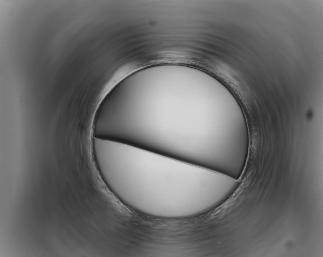 X0000098081378200804040741