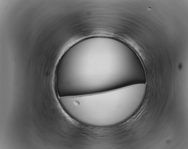 X0000098081379200804040741