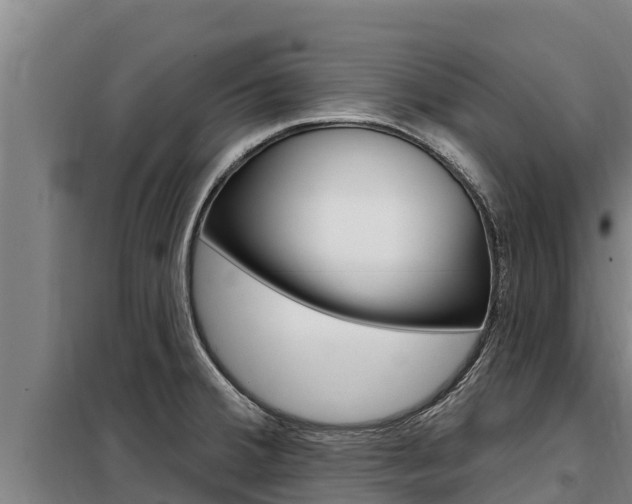 X0000098081380200804040741
