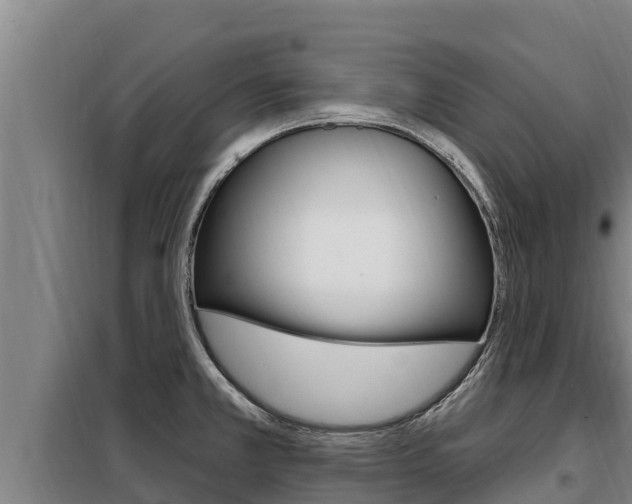 X0000098081381200804040741
