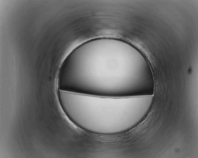 X0000098081383200804040741
